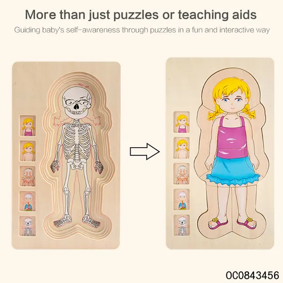 Multi Layer Montessori Human Body Structure Picture Children Educational Wood Jigsaw Puzzle Toy for Kids