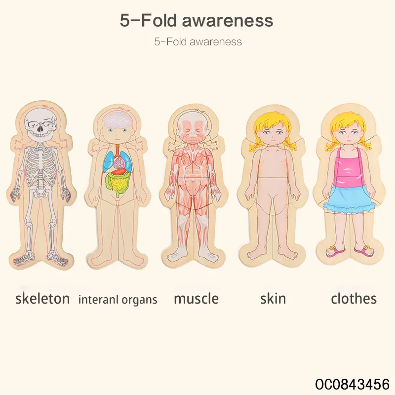 Multi Layer Montessori Human Body Structure Picture Children Educational Wood Jigsaw Puzzle Toy for Kids