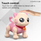 Wholesale Singing and Dance Plastic Remote Control Intelligent Interactive RC Music Robot Pet Animal Toy for Kids