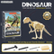 Early Education Archaeological Excavation Tool Fossil Digding and Exploring Plastic Toys Dinosaur Skeleton Toy for Kids