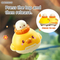 Wholesale Montessori Educational Hand Eye Coordination Felt Custom Press and Go Cute Animal Cars Toys