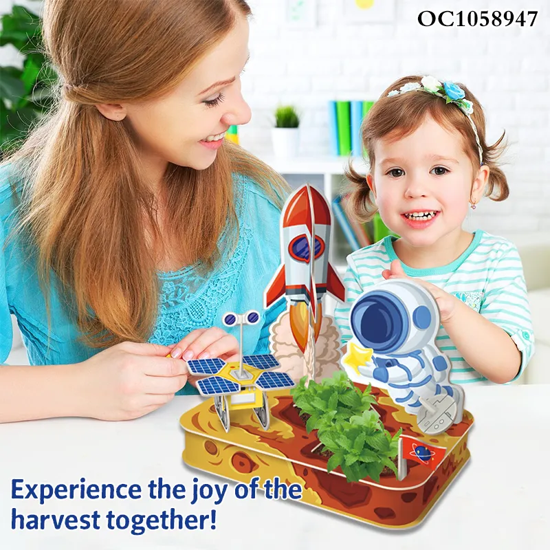 Custom Printing Educational Cardboard Jigsaw Puzzle Manufacturers Game Montessori Cubes Space 3D Puzzle Toy for Sale with Astronaut