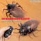 Wholesale Funny RC Plastic Realistic Insects Infrared Remote Control Animal Toy for Boys