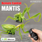 Wholesale Plastic 3D Models Remote Control Crawling Insect Remote Control Animal Toy