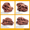 Children Toys Educational Learning Gift Dinosaur Fossil Model Digging Toys