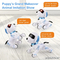 Wholesale Smart Plastic Educational Interactive Remote Control Robot Intelligent Model Ai Pet Toy Dog for Kids
