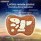 2.4G 8 Channels Tyrannosaurus Interactive Robot Dinosaur Realistic Roaring and Walking Remote Control Dinosaur Toys for Kids