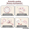 Wholesale Montessori Lovely Hand Shake Rattle Plastic Sensory Baby Teether Toy