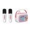 Wholesale Battery Operated Handheld Electronic Portable Speaker Kids Musical Wireless Karaoke Microphone