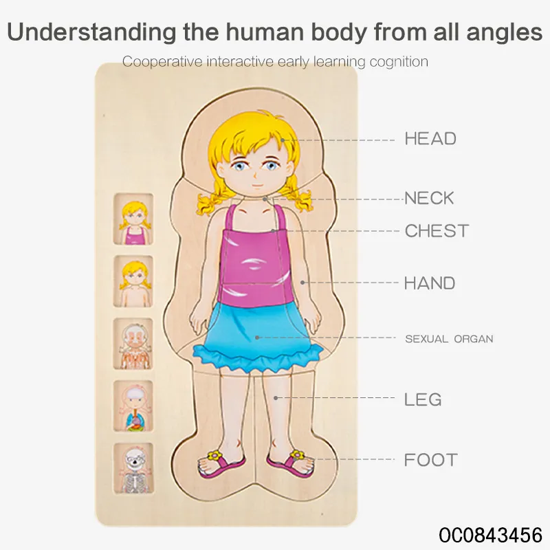 Multi Layer Montessori Human Body Structure Picture Children Educational Wood Jigsaw Puzzle Toy for Kids