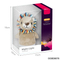 Wholesale Stuffed Music Animals Lion Night Lights Plush Toy for Baby Kids