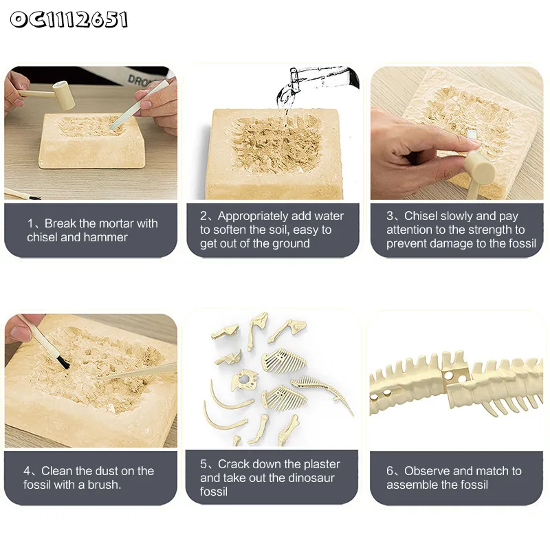 Early Education Archaeological Excavation Tool Fossil Digding and Exploring Plastic Toys Dinosaur Skeleton Toy for Kids