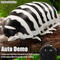 Wholesale Funny Cheap Remote Control Plastic Realistic Insects Simulation Pill Bug Model DIY Animal Toy