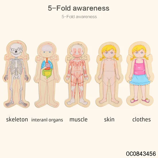 Multi Layer Montessori Human Body Structure Picture Children Educational Wood Jigsaw Puzzle Toy for Kids