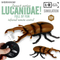Trending Products 2025 Small Rhinoceros Beetles Model Crawling Insect Robot New Toy with Remote Control for Kids