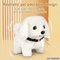 Wholesale Cartoon Dog Plush Animals Unique Branding Stuffed Animal Customized Toy for Kids