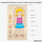 Multi Layer Montessori Human Body Structure Picture Children Educational Wood Jigsaw Puzzle Toy for Kids