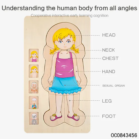 Multi Layer Montessori Human Body Structure Picture Children Educational Wood Jigsaw Puzzle Toy for Kids