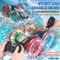 Hand Gesture Remote Control RC Stunt Amphibious Car New Double Sided 360 for Sale