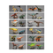 Moveable Tiny Toys Collectable Simulation Realistic PVC 3D Dinosaur Toys Jurassic Set Figure Model Toys with Egg for Decoration