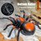Wholesale Remote Control Spider Plastic Walking Insect RC Spider Animal Simulation Toys for Kids