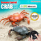 Wholesale LED Light Plastic Remote Control Animal RC Set Toy for Kids for Kids