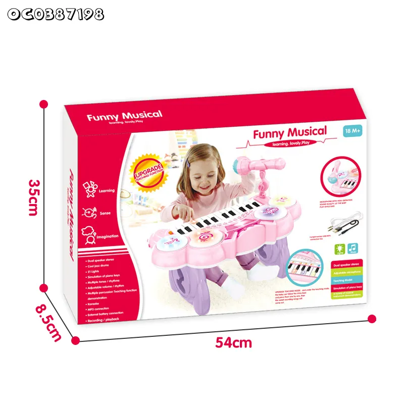 Wholesale Educational Instrumentos Musicales Electronic Plastic Musical Toys 24 Key Keyboard Piano for Kids