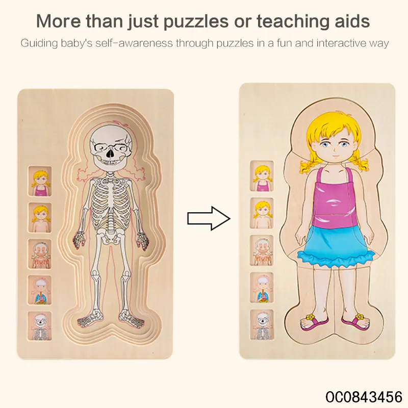 Multi Layer Montessori Human Body Structure Picture Children Educational Wood Jigsaw Puzzle Toy for Kids