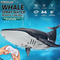 2.4G Remote Control Whale Swimming Pool Accessories Toys Custom for Kids