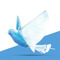 Wholesale Electric Battery Operated Line LED Light up Child Remote Control Electric Flying Bird Toys for Kids