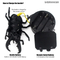 Wholesale Model Plastic Realistic Robot Insect Remote Control Animal Toy for Kids
