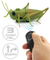 Wholesale Plastic Realistic Insects Model Simulation Infrared Remote Control Electric Plastic Toy