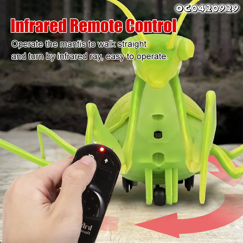 Wholesale Plastic 3D Models Remote Control Crawling Insect Remote Control Animal Toy
