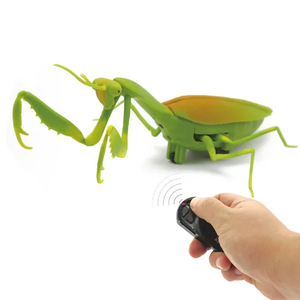 Wholesale Plastic 3D Models Remote Control Crawling Insect Remote Control Animal Toy