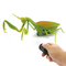 Wholesale Plastic 3D Models Remote Control Crawling Insect Remote Control Animal Toy