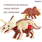 Game DIY Self -Assembled 3D Simulation Dinosaur Skeleton Toy for Preschool