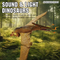 Display Box Plastic Jurassic Dinosaur Model Simulated Pterosaur Toy Flying B O Dinosaur Toy for Cognitive Education