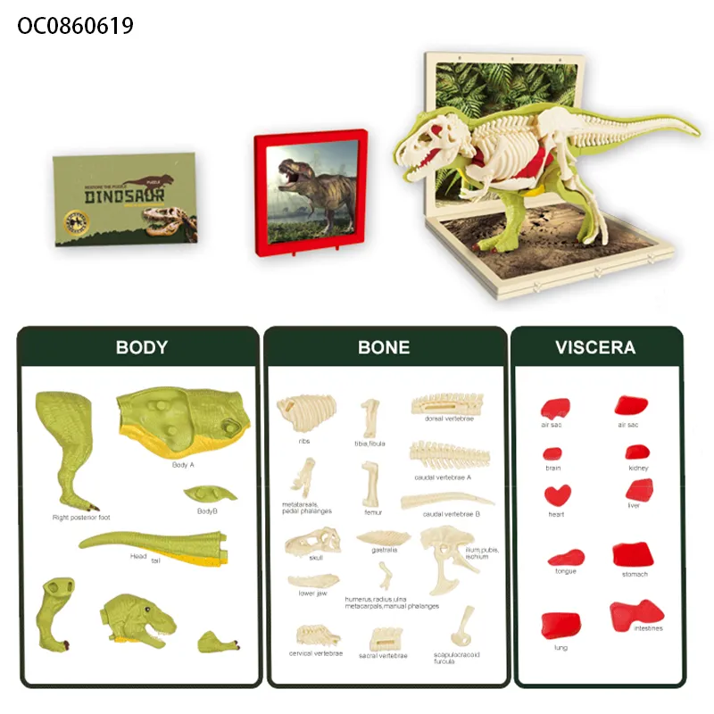 Early Educational DIY Self-Assembly Skeleton Dinosaurs Models Toys for Kids
