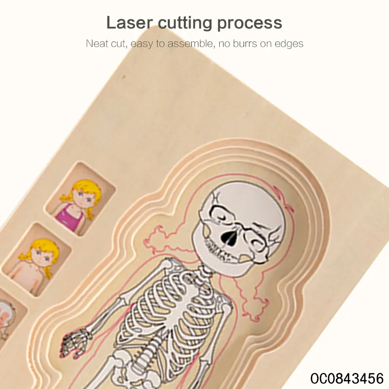 Multi Layer Montessori Human Body Structure Picture Children Educational Wood Jigsaw Puzzle Toy for Kids