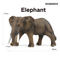 Wholesale Popular Educational Simulation Rubber Plastic Elephant Animal Sets Toy