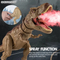Mist Spray Decompression Lighted up Sound Toys Walking Battery Operate Electric Dinosaur Simulation Games Toy for Children Kids