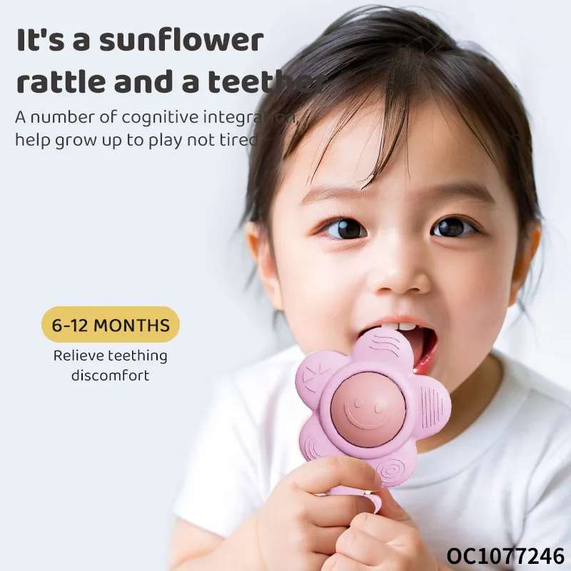Wholesale Montessori Educational Lovely Silicone Baby Plastic Ball Baby Teether Chew Toy