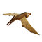 Display Box Plastic Jurassic Dinosaur Model Simulated Pterosaur Toy Flying B O Dinosaur Toy for Cognitive Education