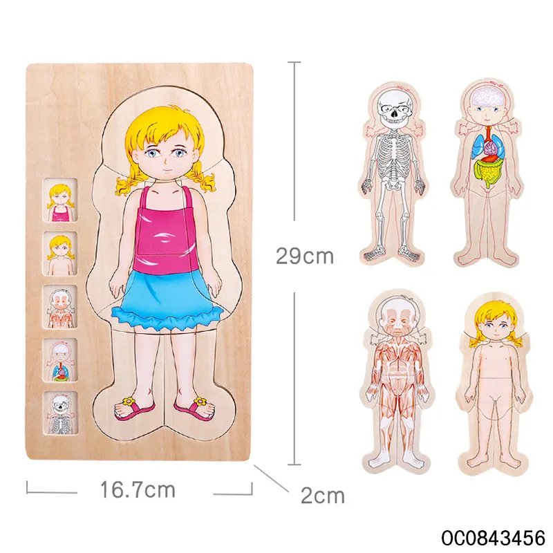 Multi Layer Montessori Human Body Structure Picture Children Educational Wood Jigsaw Puzzle Toy for Kids