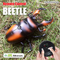 Wholesale Model Plastic Realistic Robot Insect Remote Control Animal Toy for Kids