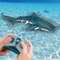 Wholesale Plastic Funny RC Animal Fish Whale Shark Remote Control Water Toy for Kids
