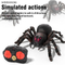 Wholesale Plastic Realistic Animal RC Remote Control Spider Toy with Flashing Light Eye