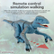 OEM ODM PVC Plastic Walking Robot Dinosaur Toy Realistic Eco Friendly Figure Blue Velociraptor Dinosaur Toys with Remote Control