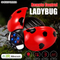 Wholesale Remote Control Simulation 3D Models Robot Plastic Remote Control Insect Animal Kids Toy