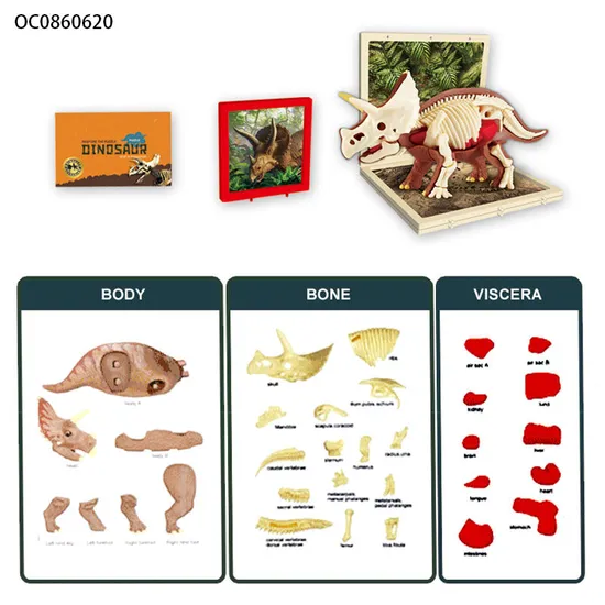 Game DIY Self -Assembled 3D Simulation Dinosaur Skeleton Toy for Preschool
